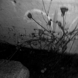 i found ms in U (Explicit)