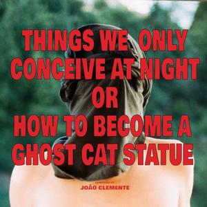 Things We Only Conceive at Night or How to Become a Ghost Cat Statue (feat. David John Hull)