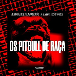 OS PITBULL DE RAÇA (Explicit)