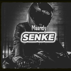 Senke