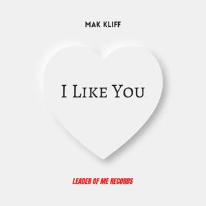 I LIKE YOU (feat. Trey Williams & Akil Pratt)