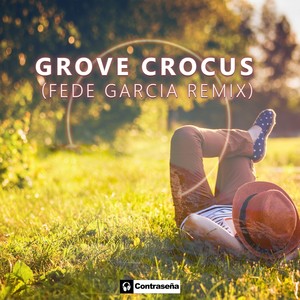 Crocus (Fede García Remix)