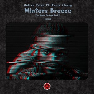 Winters Breeze (ChriSoul Inactive & TorQue MuziQ Remix)