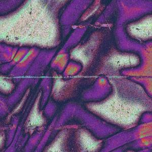 Xanderr - RANSOM (Explicit)