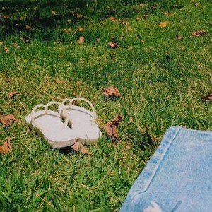 angel wings (angeldust)