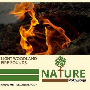 Light Woodland Fire Sounds - Nature and its Elements, Vol. 7