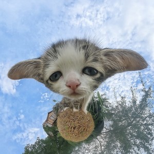 Прощай, братец (Explicit)