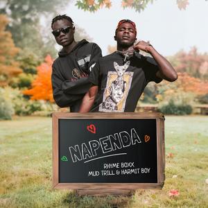 Napenda (feat. Mud Trill & Harmit Boy)