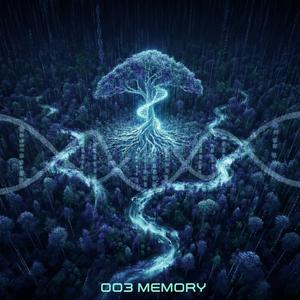 BRUTAL MESSAGE 003 MEMORY