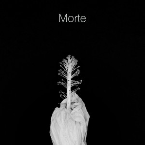 Morte