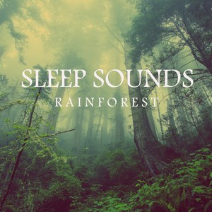 Sleep Sounds: Rainforest