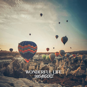 Wonderful Life