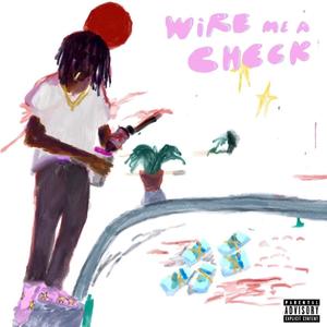 WIRE ME A CHECK (Explicit)