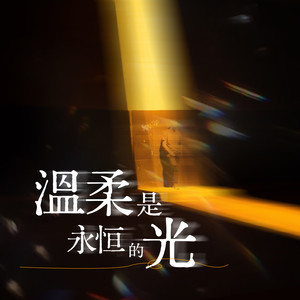 随机掉落的记忆碎片 (Explicit)封面