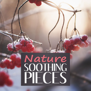 Nature Soothing Pieces - Ultimate Natural Spa Music Collection with Nature Sounds, Relax Yourself, Sound Therapy for Stress Relief