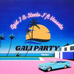 Gali Party (feat. Steelo F & Vasseta) [Explicit]