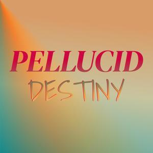 Pellucid Destiny