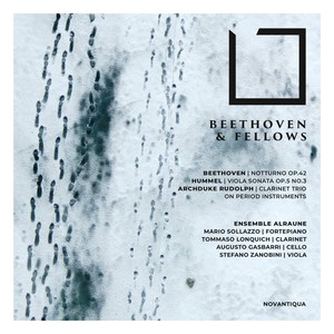 Beethoven & Fellows (Chamber Music Beethoven, Hummel and Archduke of Austria on Original Instruments)