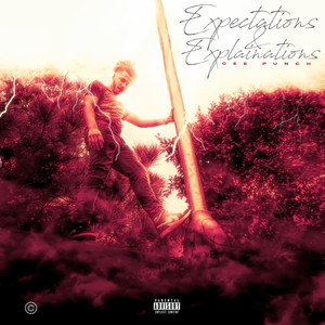 Expectations & Explanations (Explicit)