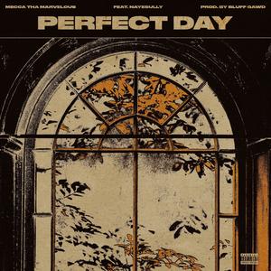 Perfect day (feat. NayeSully) (Explicit)