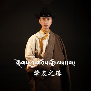 挚友之缘封面
