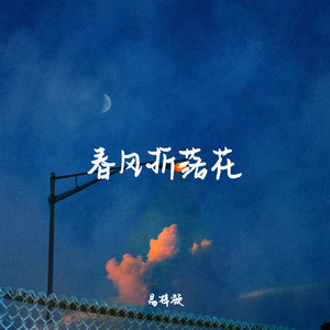 春风折落花 (伴奏)
