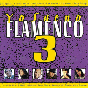 Yo Sueno Flamenco Vol. 3
