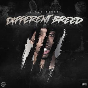 Onna Block (feat. Young Chicken) (Explicit)