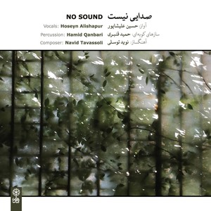 No Sound