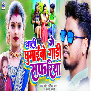 Sali Ge Ghumebho Gadi Safariya