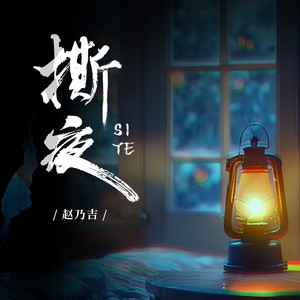 赵乃吉 - 撕夜 (DJ阿尼)