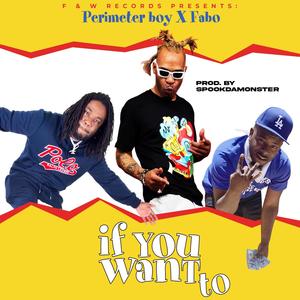 If You Want to (feat. Perimeter boy & Fabo) [Explicit]
