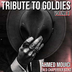 Tribute To Goldies, Vol II (Pinte de blues production) [Explicit]