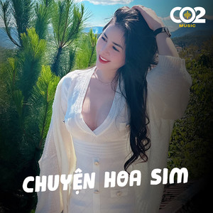 Chuyện Hoa Sim Remix