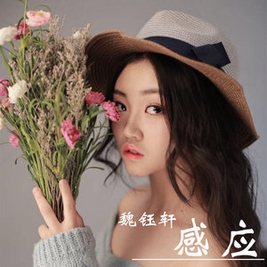 感应