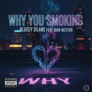 Why you smoking (feat. Don Nector) (Explicit)