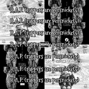 R.A.P. (rappers are persnickety) [Explicit]