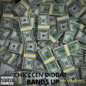 Bands Up (feat. Vello Mike) [Explicit]