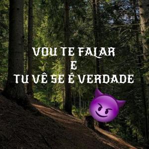 VOU TE FALAR E TU VÊ SE É VERDADE (feat. DJ AG O GRINGO & DJ 2D DO PARAISO) (Explicit)