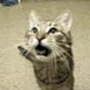 addy after addy (feat. rodeoglo) (Explicit)