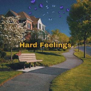 Hard Feelings