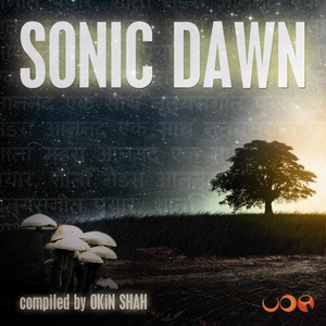 Sonic Dwan