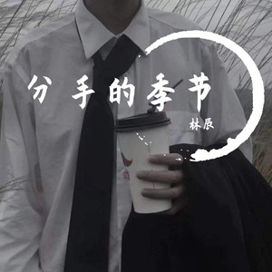 分手的季节