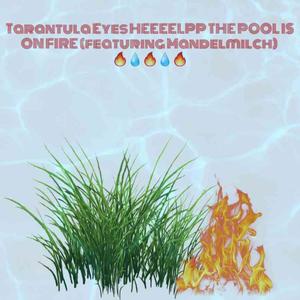 HEEEELPP THE POOL IS ON FIRE!!!! (feat. Manelmilch)