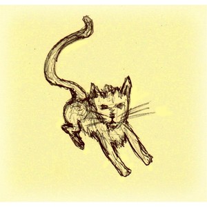 The Cat That Walks Through Walls