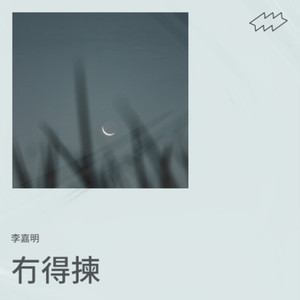 冇得揀