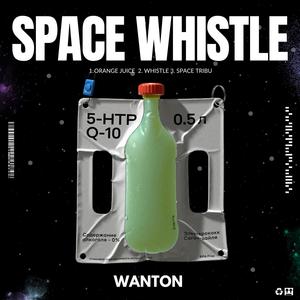 Space Whistle