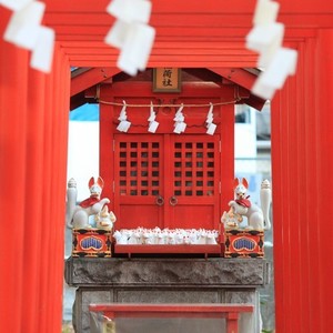 Sakura Saku (Instrumental|Remix)