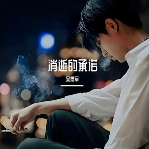消逝的承诺 (女声版)