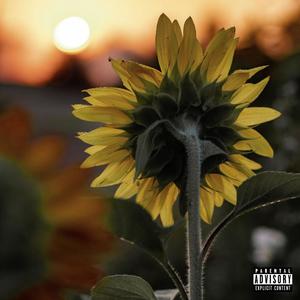 Child of the Sun (Explicit)